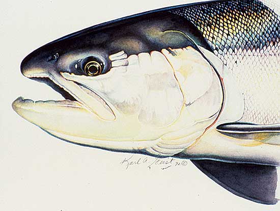 #424 ~ Geist - Steel Head I