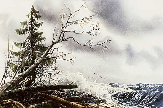 #446 ~ Heine - Untitled - Pacific Coast