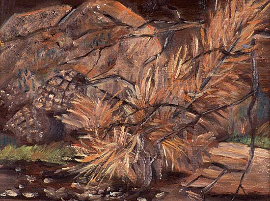 #447 ~ Henson - Pine Needles and Cones