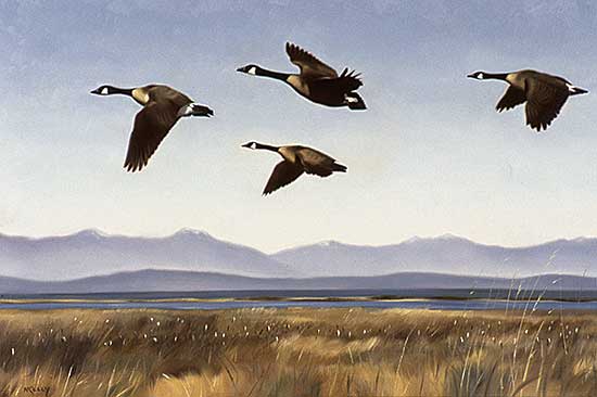 #482 ~ Kelly - In Flight