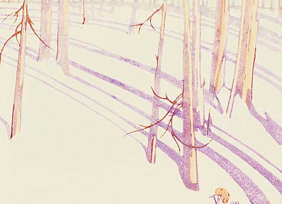 #503 ~ Newton - Shadows  #6/100