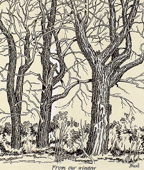 #504 ~ Nicoll - From Our Window