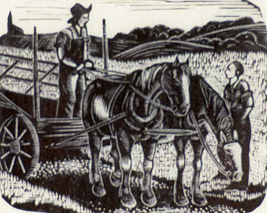 #506 ~ Oille - Untitled - Harvest Time