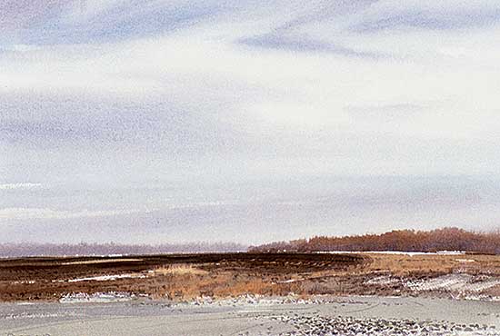 #518 ~ Savage - Parkland