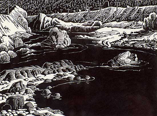 #528 ~ Shelton - Thomson River  #27/50