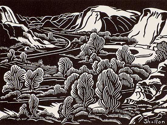 #532 ~ Shelton - Wayne Valley