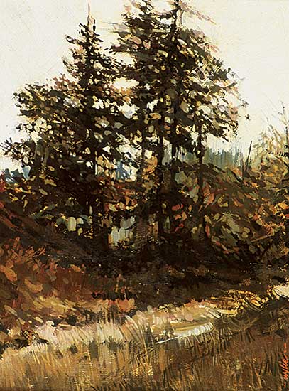 #548 ~ Wylie - Forest Path