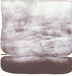 #244 ~ Pasmore - Transformation I  #44/60