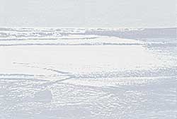 #291 ~ Smith - Winter Sea, Saltdean  #31/50