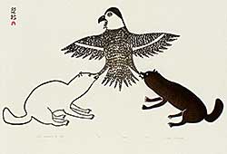 #469 ~ Inuit - Owl Attacked by Dogs  #32/50