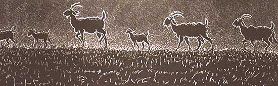 #56 ~ Fafard - Joseph's Goats  #A.P.