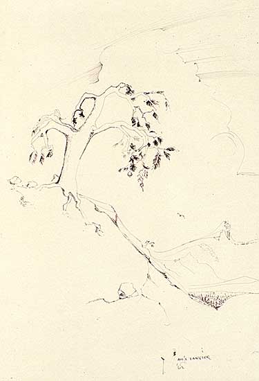 #101.3 ~ Janvier - Untitled - Rocky Mountain Landscape