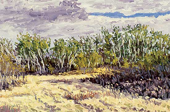 #109 ~ Kaufman - Untitled - Prairie Landscape