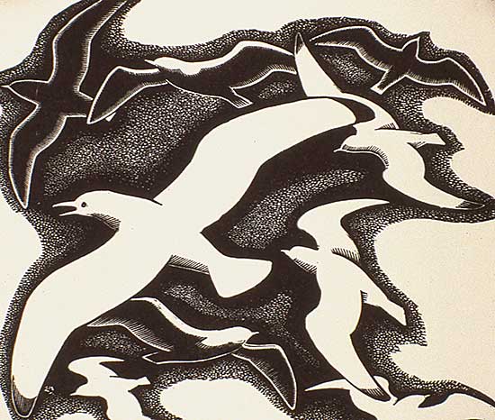 #205 ~ Holgate - Gulls