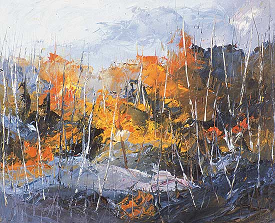 #208 ~ Labelle - Autumne Pres de Ste. Donat, Laurentide