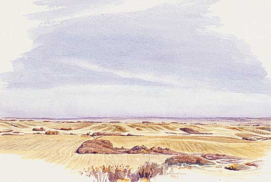 #220 ~ Lindner - Prairie