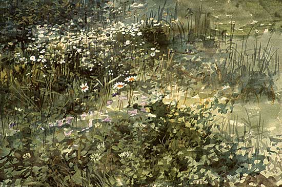 #238.2 ~ Matthews - Untitled - Flowers by the Pond