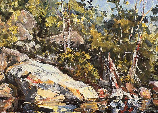 #263 ~ Otto - Haliburton Summer