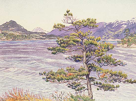 #298 ~ Radford - Untitled - West Coast Scene