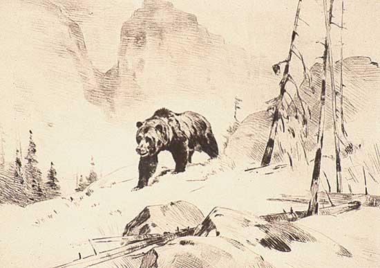 #305 ~ Rungius - Lord of the Canyon