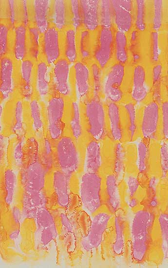 #310 ~ Shadbolt - Orange Composition