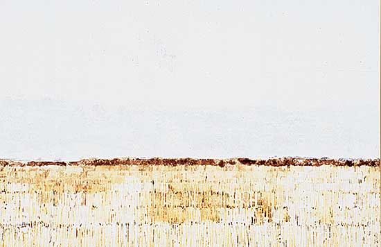 #419 ~ Holder - Untitled - Prairie View