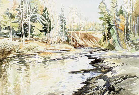 #424 ~ Jamieson - Bragg Creek