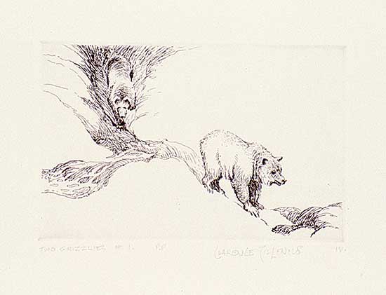 #464 ~ Tillenius - Two Grizzlies #1  #P.P.