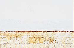 #419 ~ Holder - Untitled - Prairie View