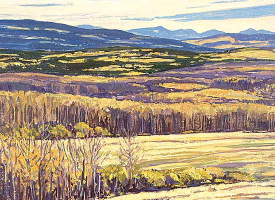 #66 ~ Duma - Near Bragg Creek