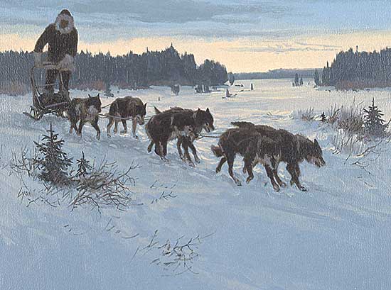 #227 ~ Lyon - Back from the Trap Line