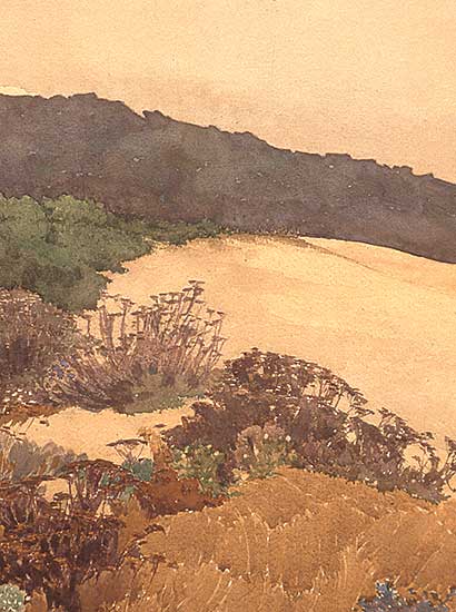 #234 ~ Manly - Untitled - Foliage at the Edge of the Dunes