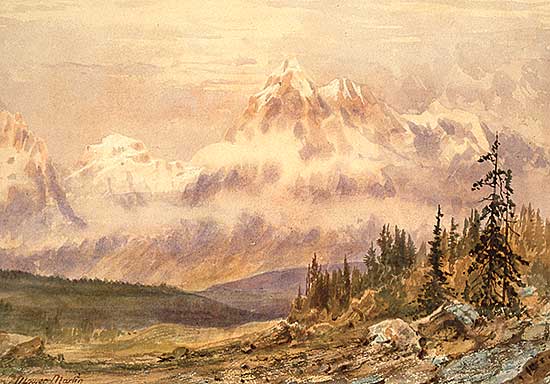 #237 ~ Martin - Untitled - Rocky Mountain Vista