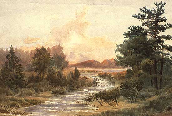 #238 ~ Martin - Untitled - Foothill Stream