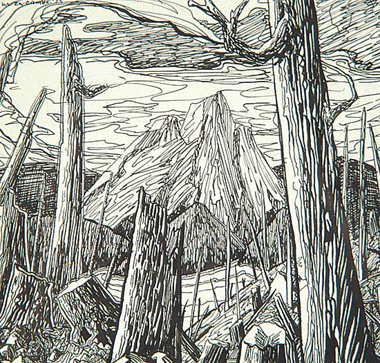 #261 ~ Newcombe - Stumps