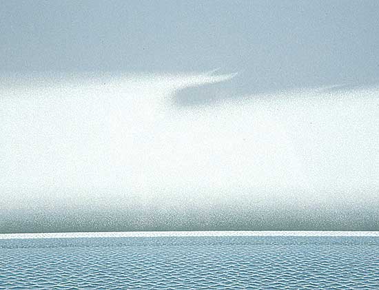 #295 ~ Pratt - Western Shore  #Artists Proof