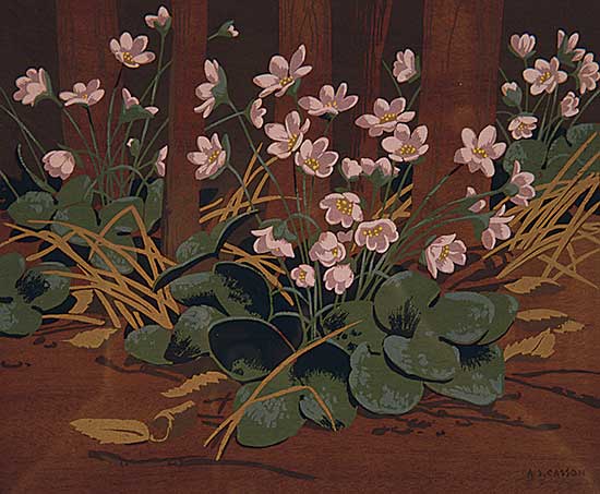 #413 ~ Casson - Mauve Blossoms