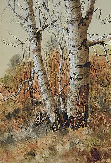 #415 ~ Cummins - Birch #2