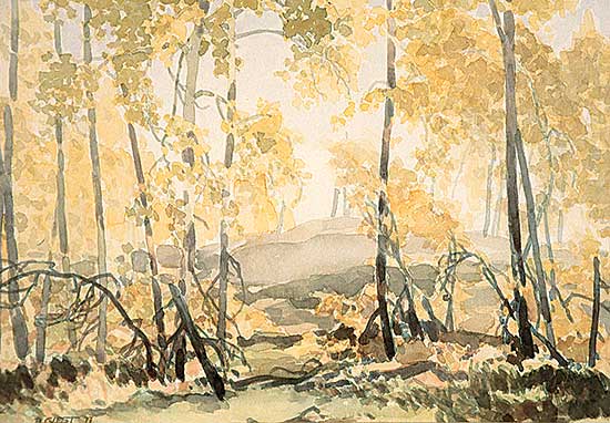 #443 ~ Guest - Poplar Trees, Fall