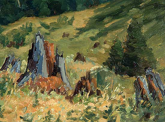 #509 ~ Shaw - Untitled - Forest Floor