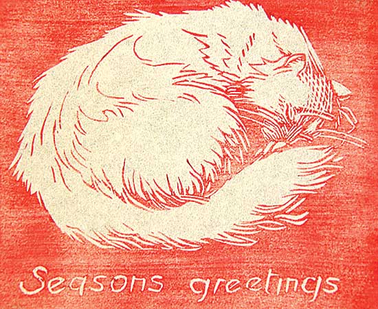 #514 ~ Shelton - Sleeping Cat