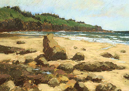 #15.2 ~ Champagne - Mavillette Beach, Nova Scotia, July 1/82