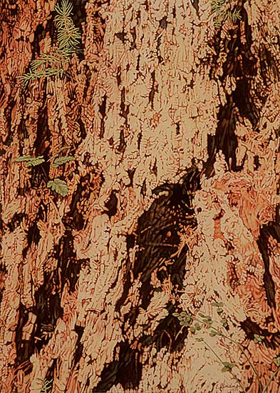 #81 ~ Lindner - Untitled - New Growth and Old