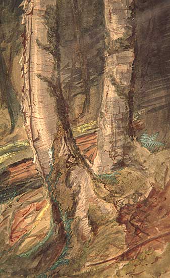 #90 ~ Martin - Untitled - Forest Pastoral