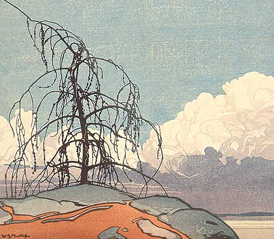 #113.1 ~ Phillips - Jack Pine  #10/100