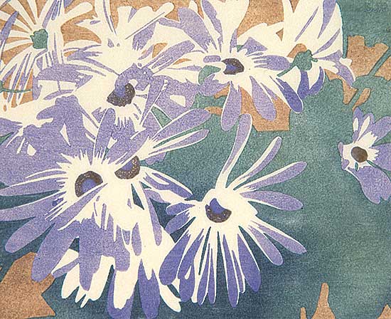 #117 ~ Phillips - Cineraria  #266