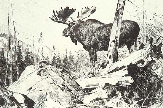 #132 ~ Rungius - Alaskan Wilderness