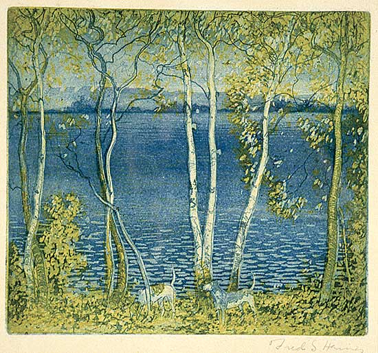 #489 ~ Haines - The Hunter