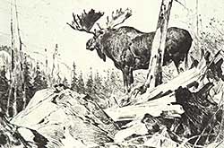 #132 ~ Rungius - Alaskan Wilderness