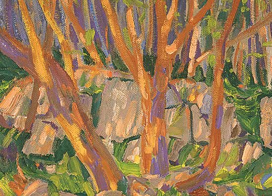 #77 ~ Kerr - Arbutus Trees, Rock and Sunlight, Saanich, B.C.
